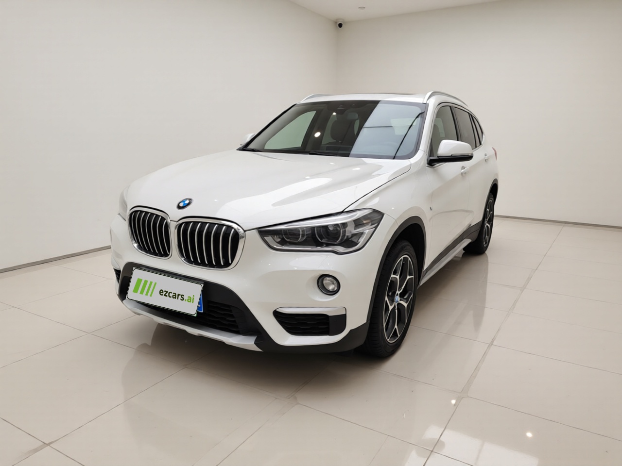 X1 2019 sDrive18Li Exclusive