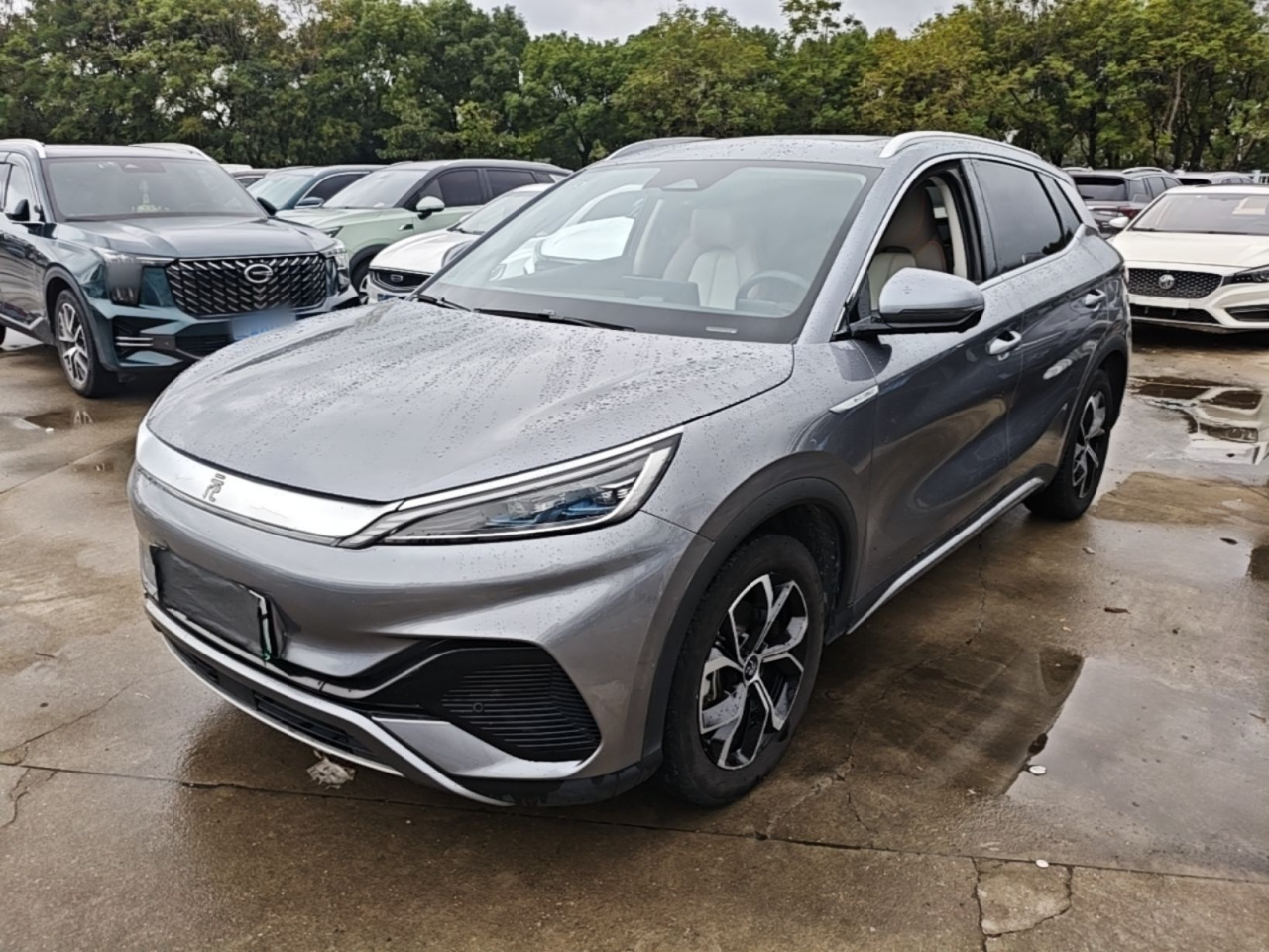 Yuan PLUS 2024 Honor 430KM