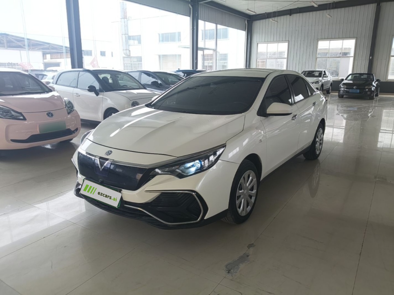 D60EV 2020 Standard Range