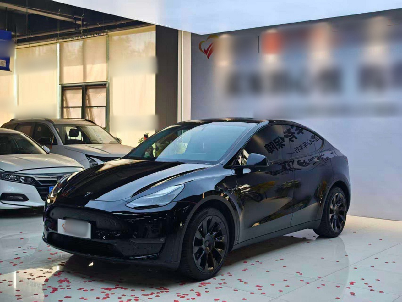 Model Y 2022 Long Range AWD