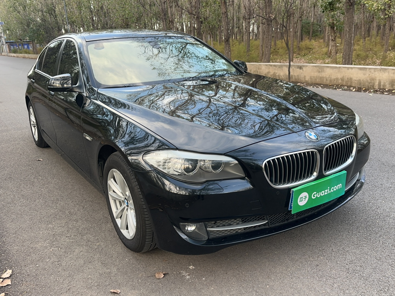 5 Series 2013 525Li Leading photo 2