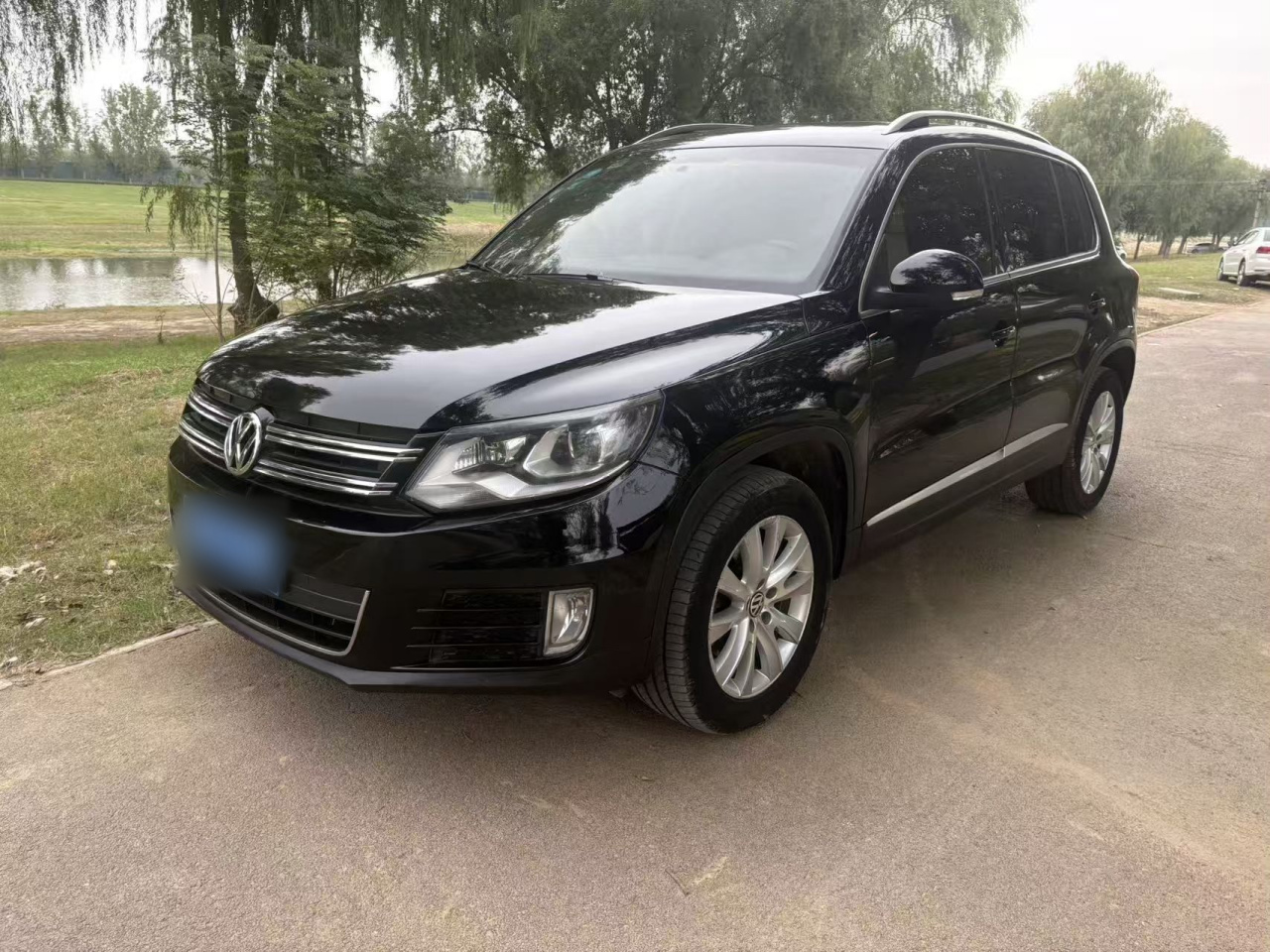Tiguan 2013 1.8TSI AT AWD Luxury photo 2