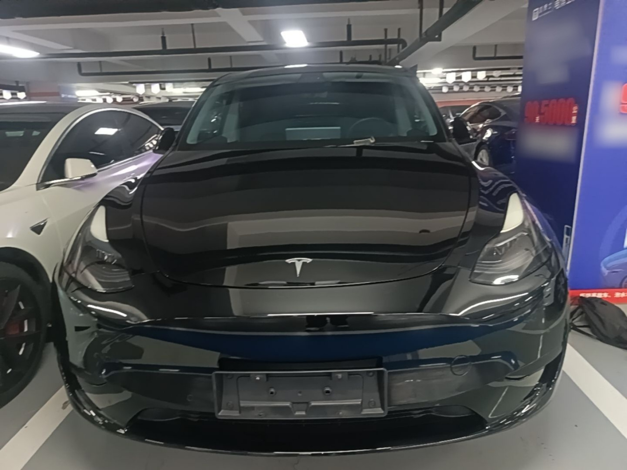 Model Y 2022 RWD photo 2