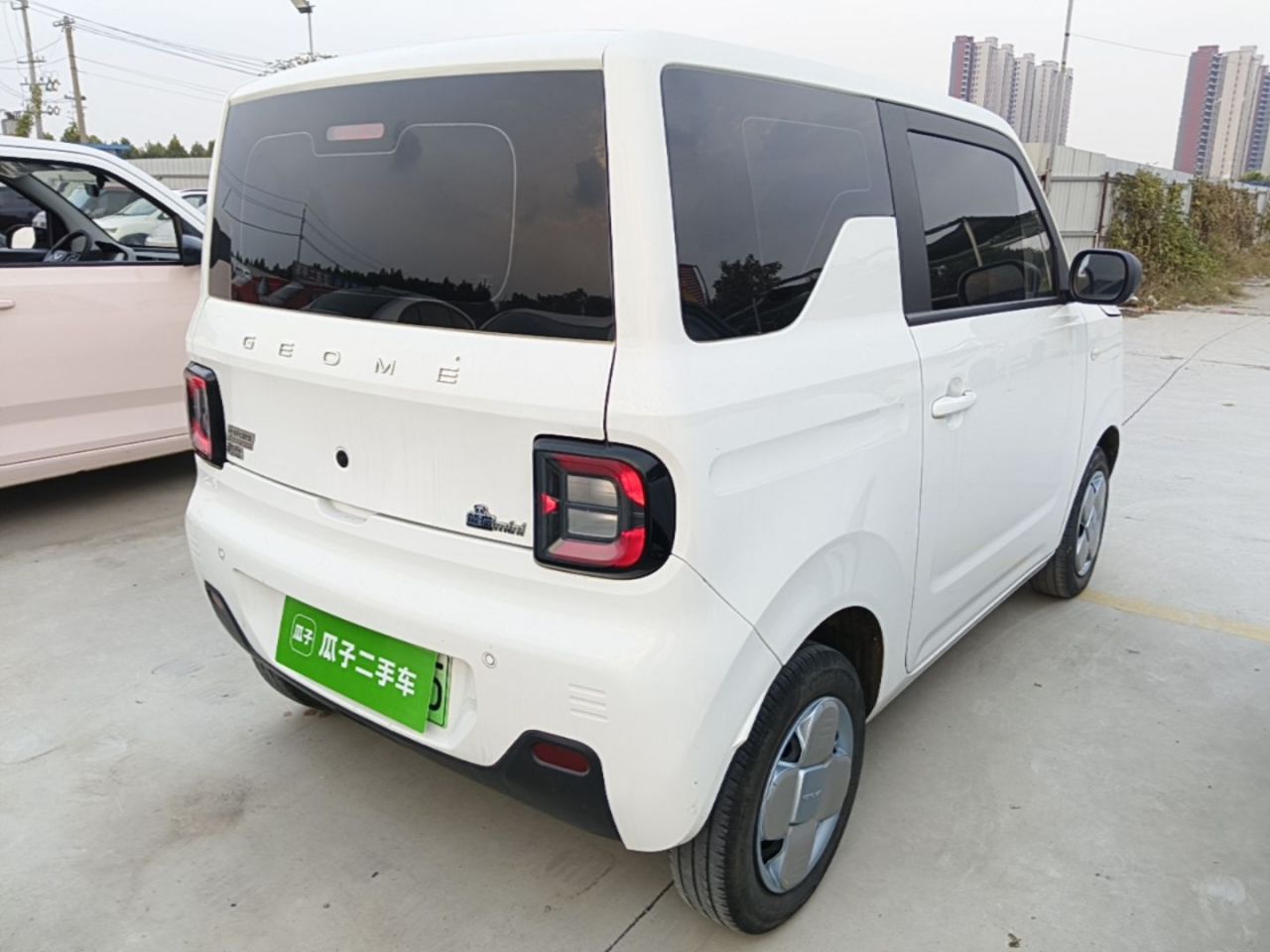 2024 Panda mini 200km Endurance Bear photo 4