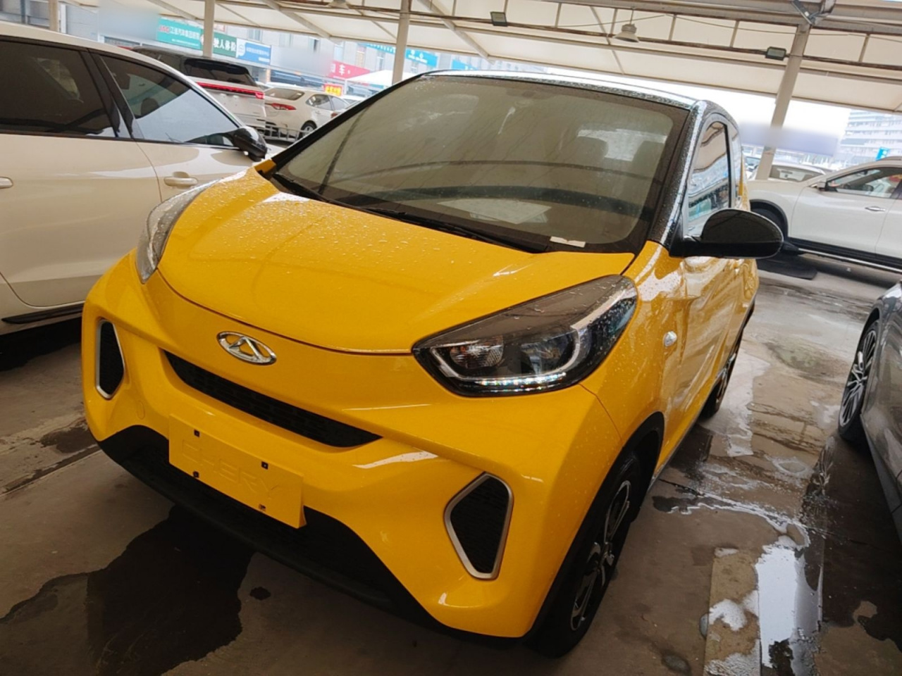 QQ Little Ant 2021 20 NCM 301km