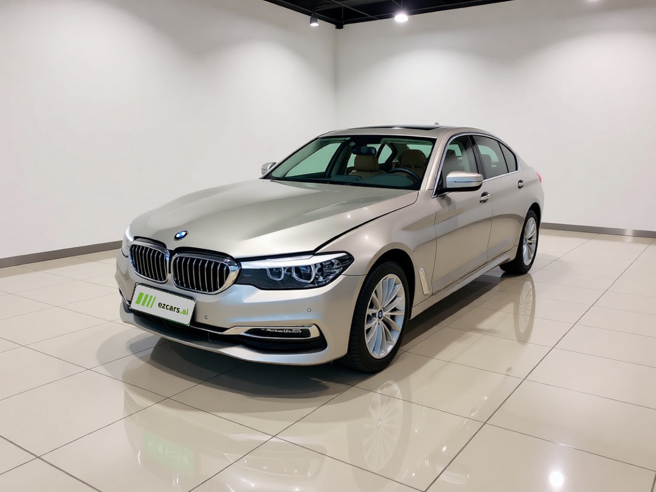 5 Series 2019 530Li Leading Luxury