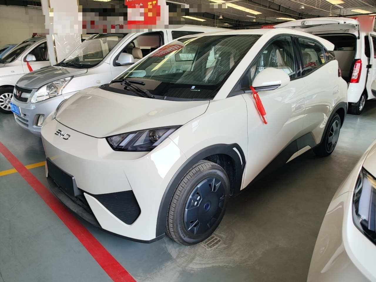 Seagull 2025 ADAS 305km