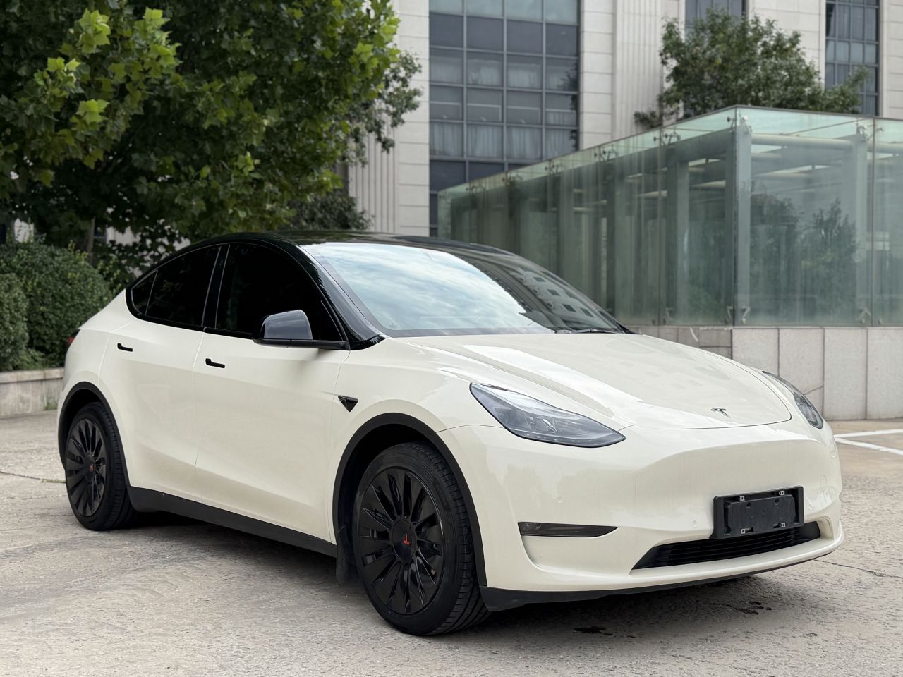 Model Y 2021 Standard Range RWD photo 3