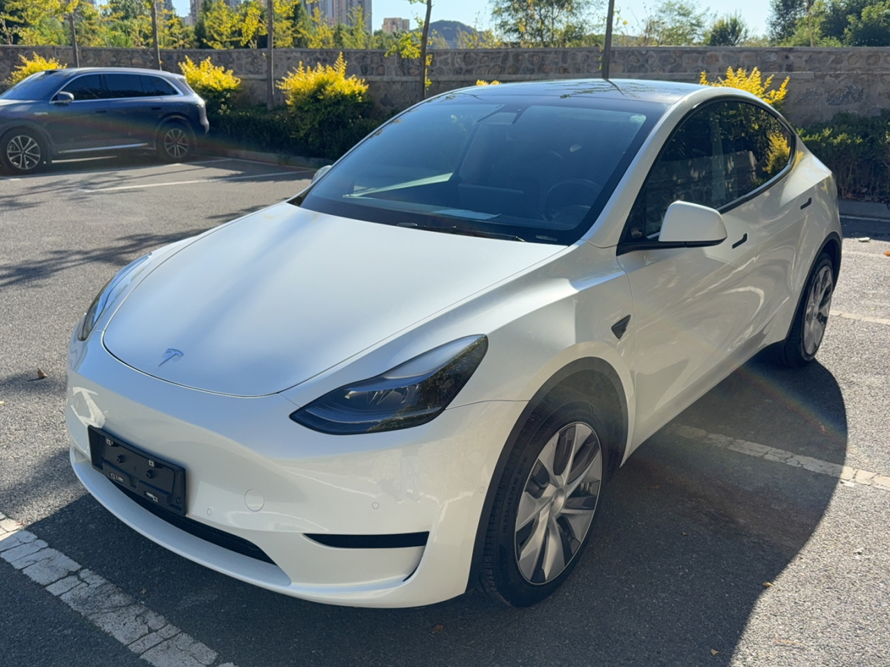 Model Y 2022 RWD