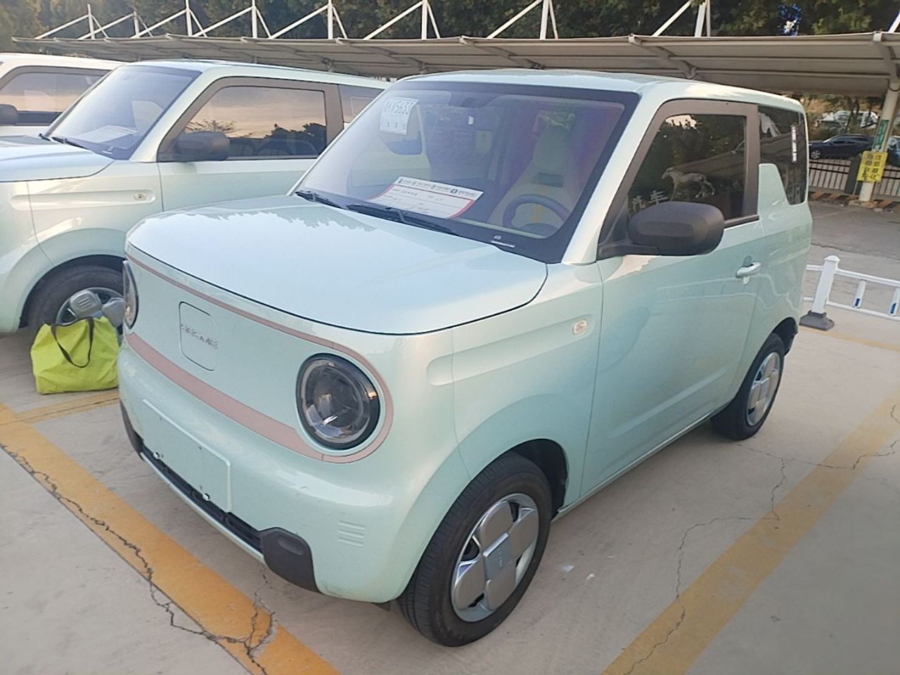 2024 Panda mini 200km Endurance Bear