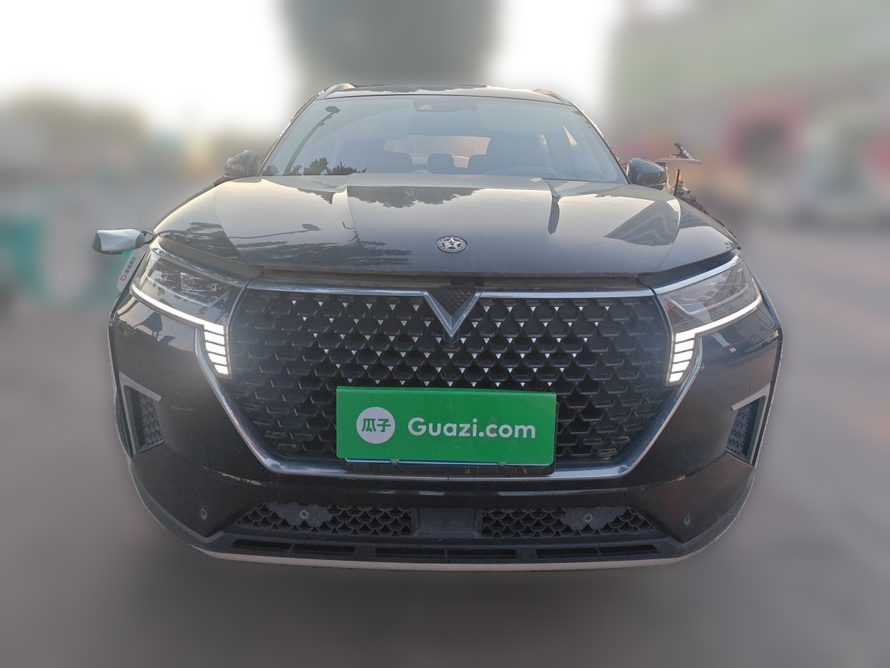 2021 260T AT 48V Mild Hybrid photo 2