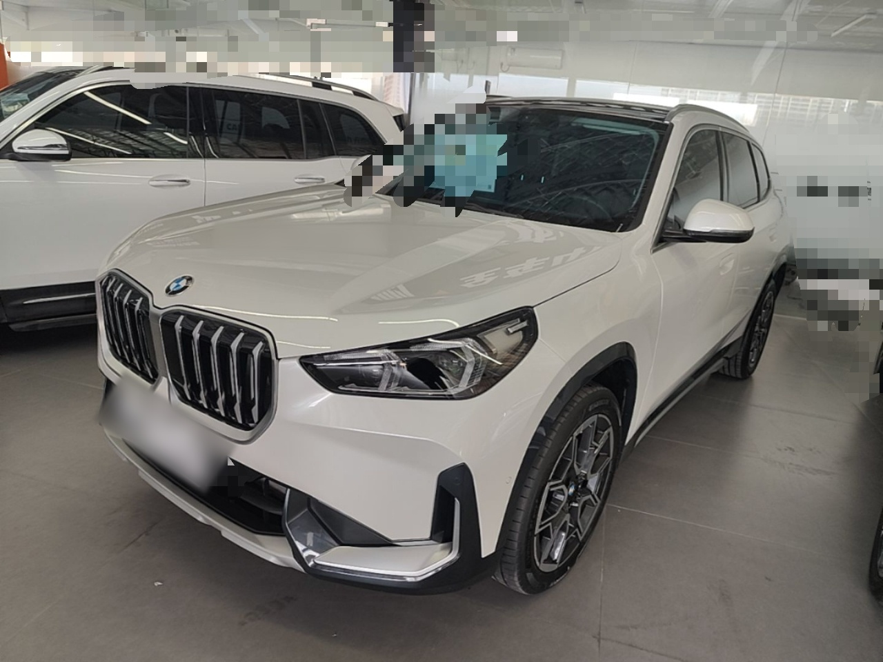 X1 2024 sDrive25Li X Design Package