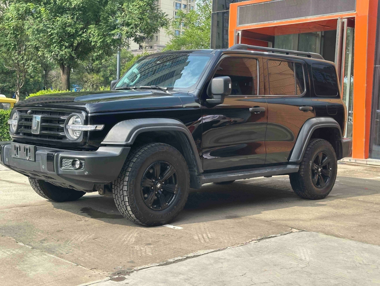 300 2021 Off-road 2.0T Conqueror photo 4