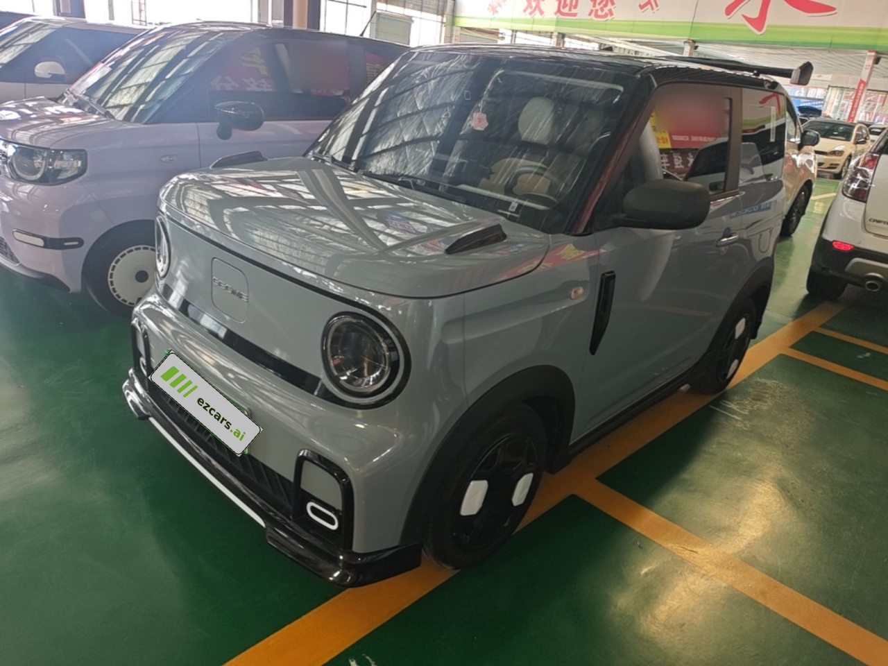 2024 200km Panda