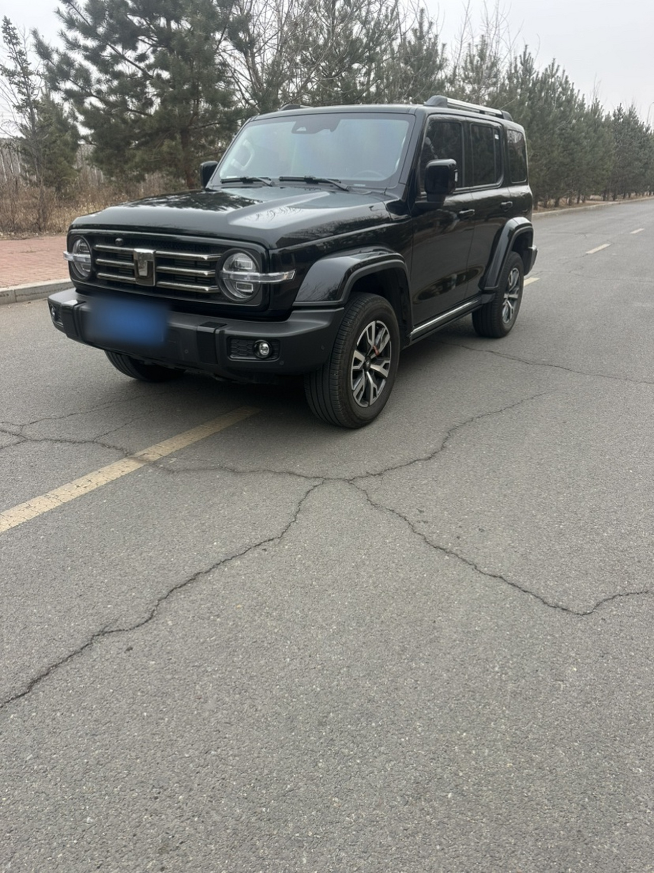 300 2024 2.0T