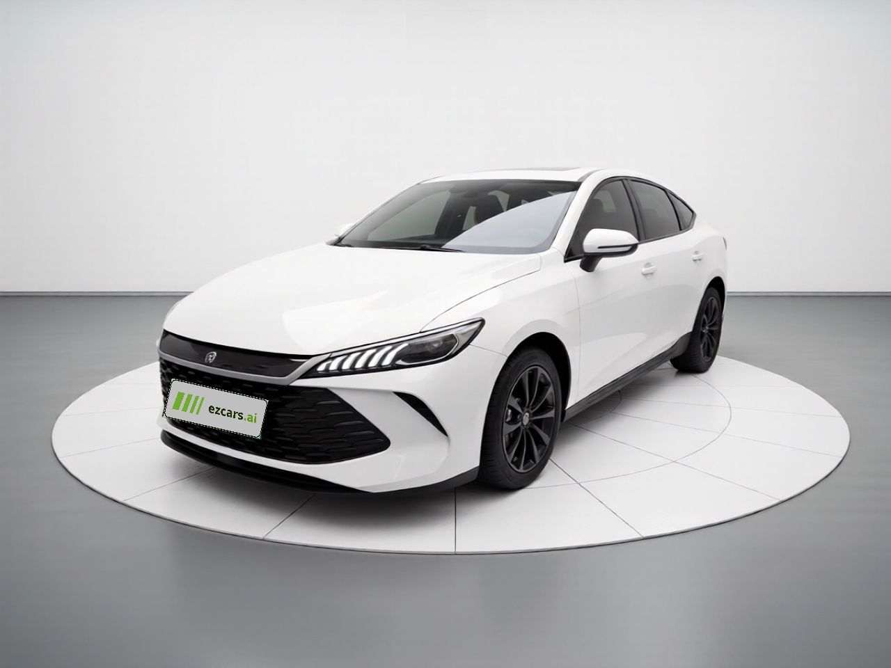 Qin PLUS 2025 DM-i ADAS 55KM Leading