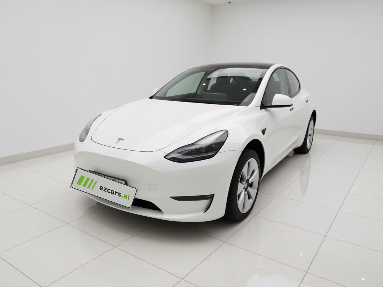 Model Y 2021 Standard Range RWD