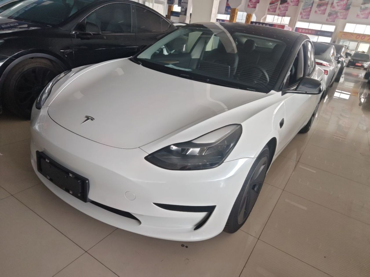 Model 3 2021 Standard Range RWD Upgraded 3D6