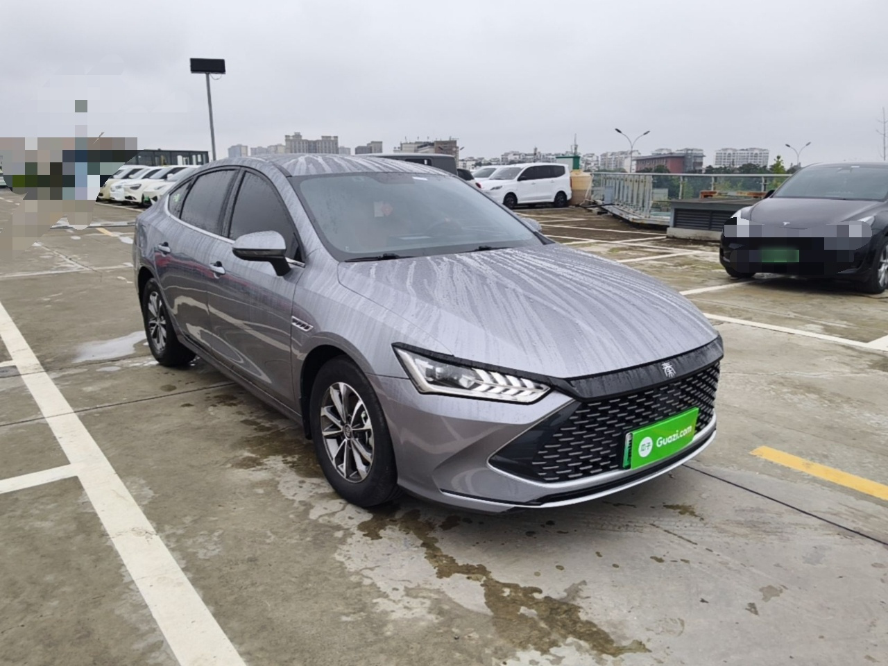Qin PLUS 2023 Champion DM-i 55KM Leading photo 5