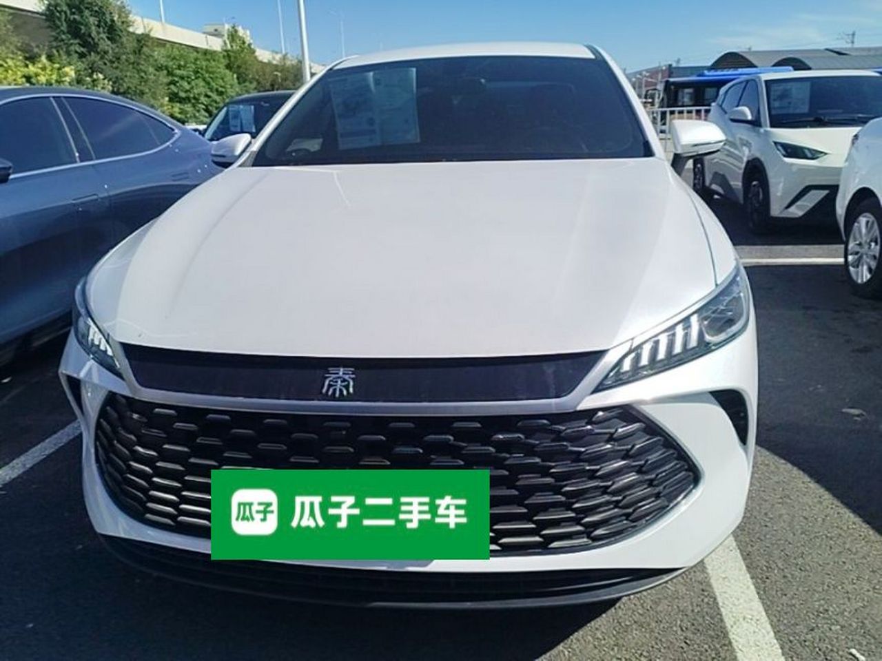 Qin PLUS 2025 DM-i ADAS 55KM Leading photo 2