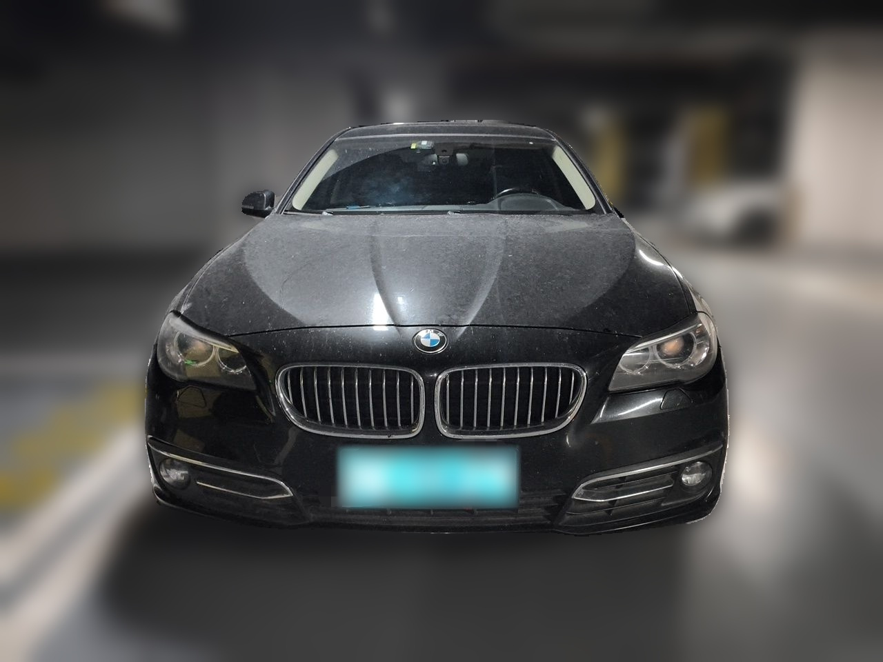 5 Series 2014 525Li Luxury Design Package photo 2