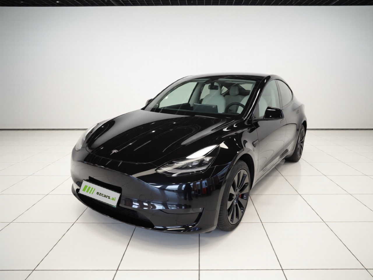 Model Y 2021 Standard Range RWD