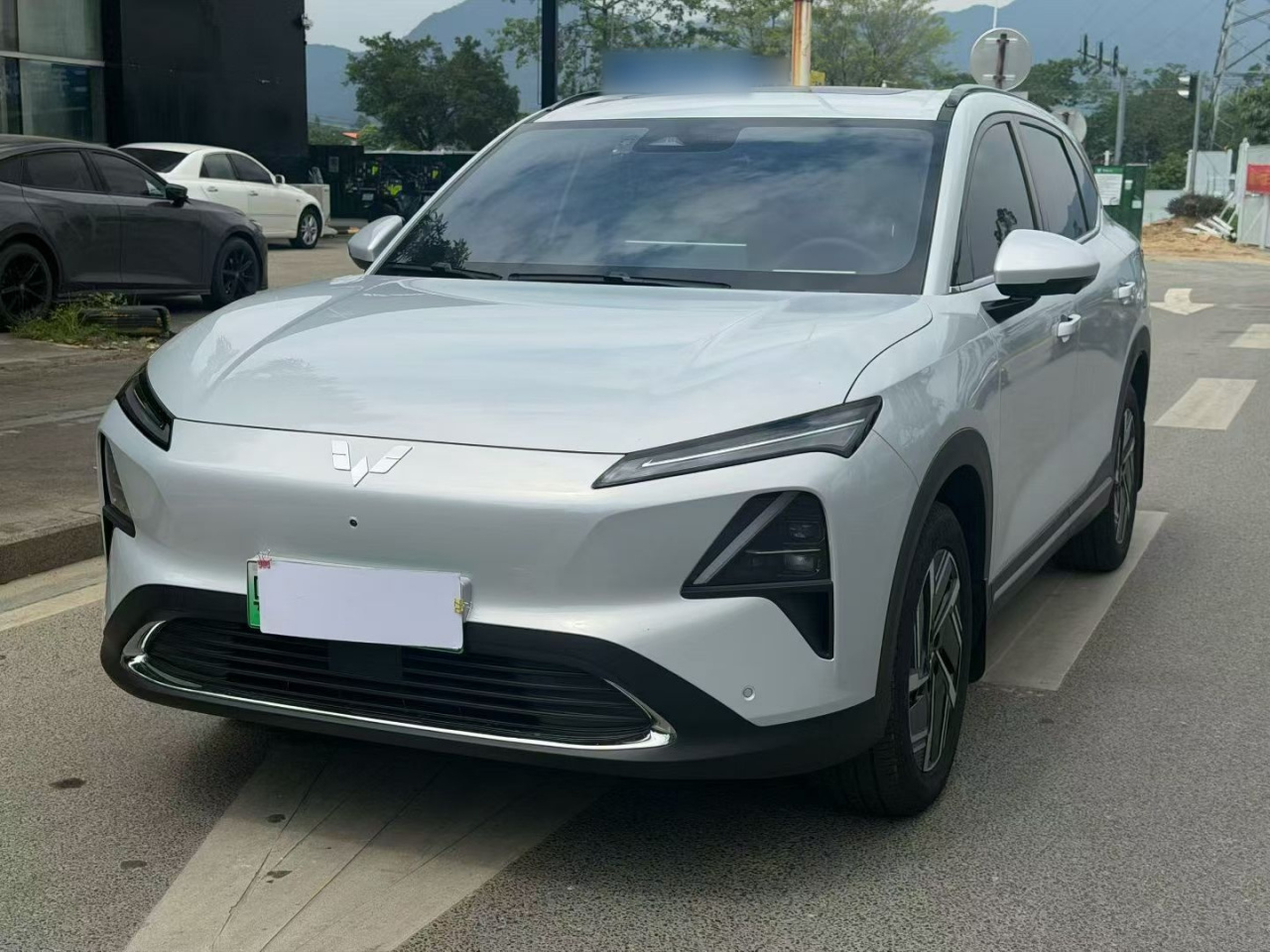 Wuling S 2024 130km Flagship