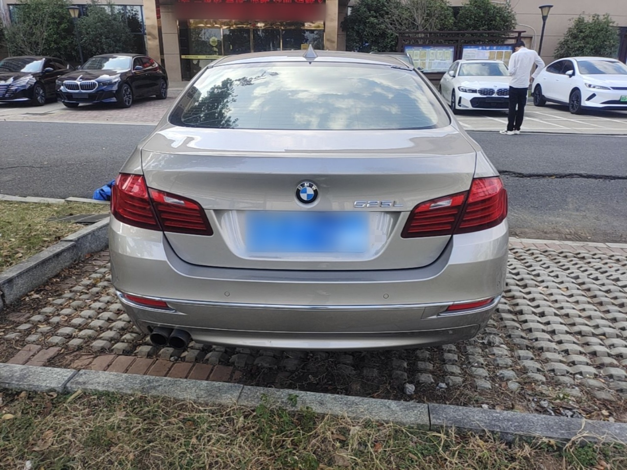5 Series 2017 525Li Luxury Design Package photo 5