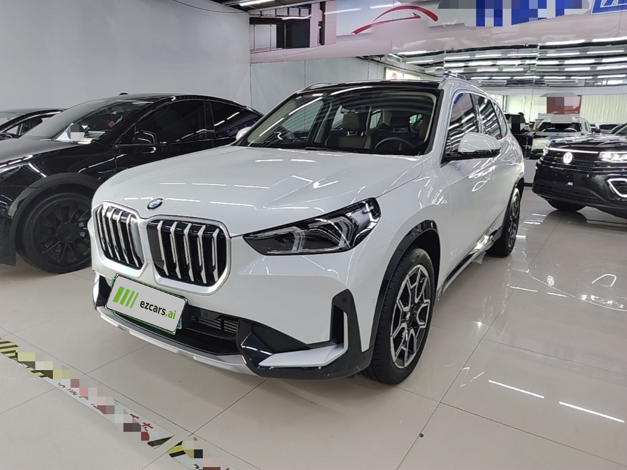 X1 2024 sDrive25Li X Design Package
