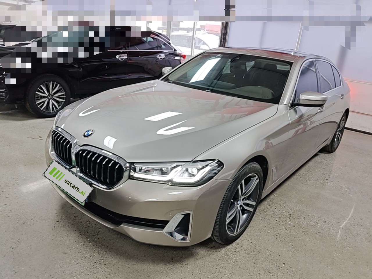 5 Series 2021 530Li Leading Luxury
