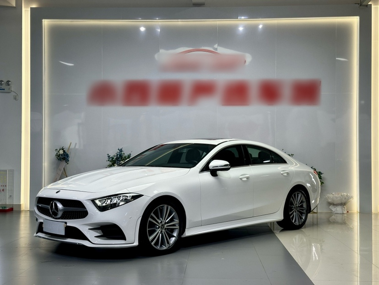 CLS 2020 CLS 300 Dynamic