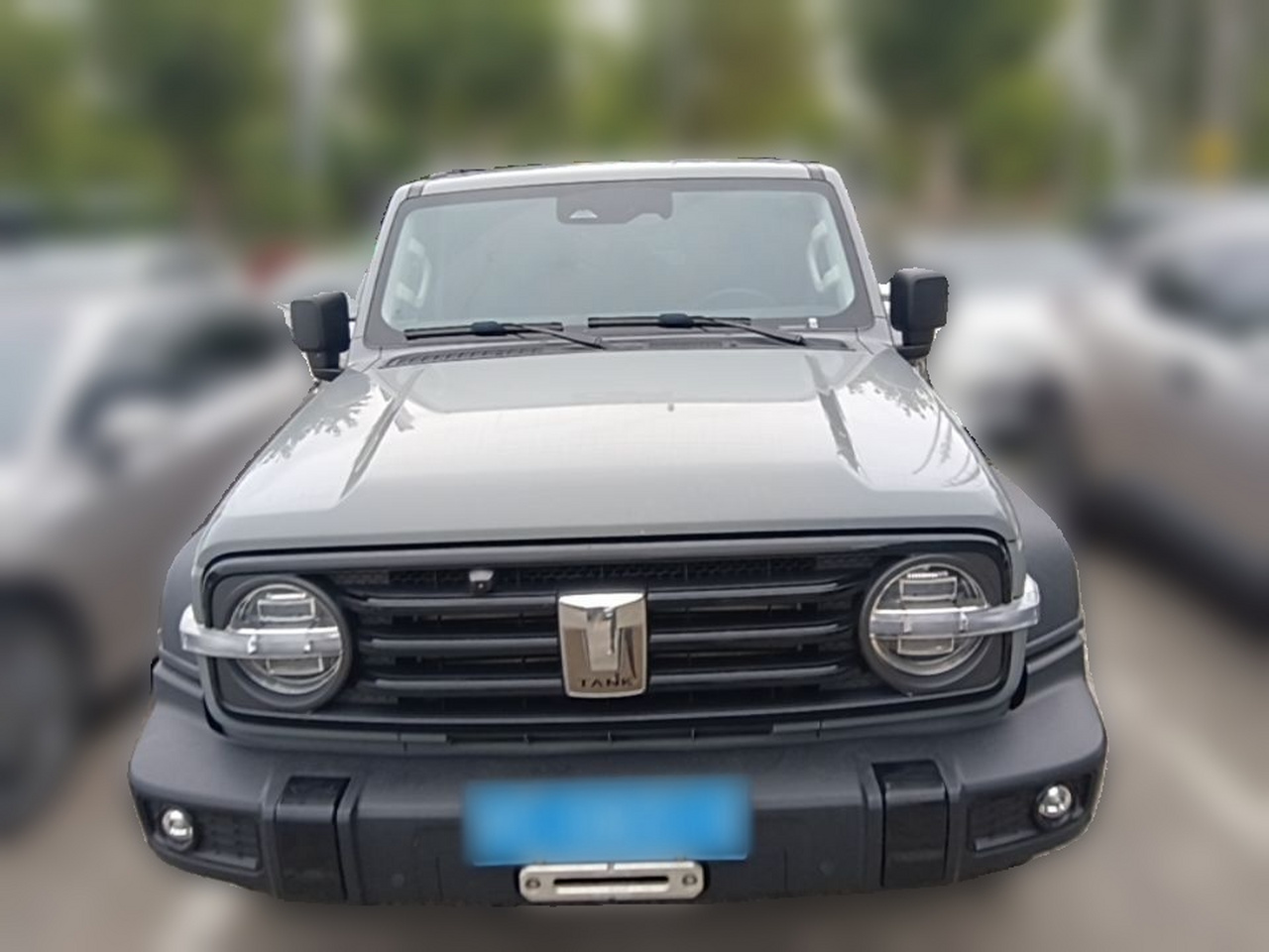 300 2021 Off-road 2.0T Conqueror photo 2