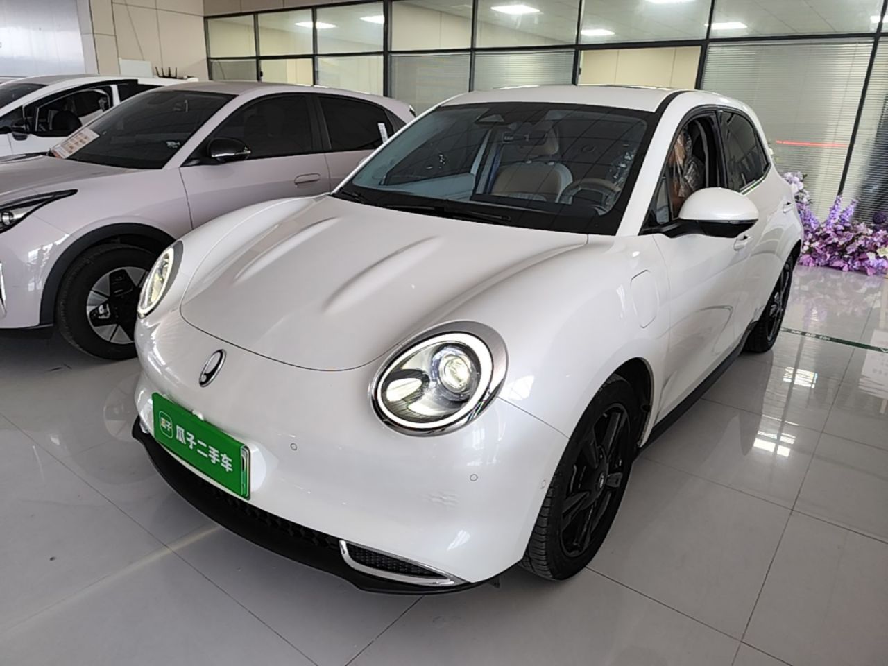 Good Cat 2024 401km Noble 135kW