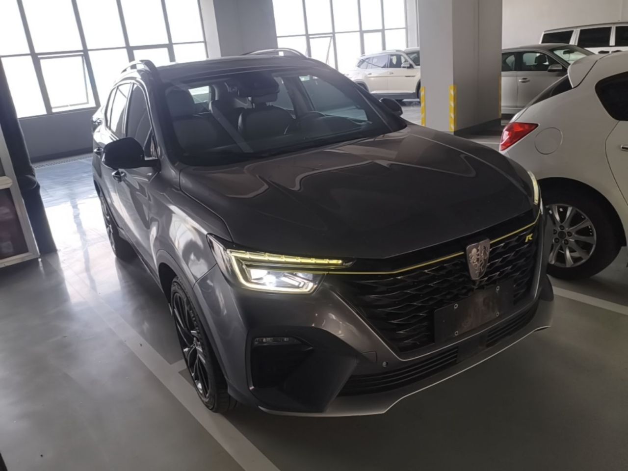 RX5 EV 2020 ePLUS Flagship photo 3