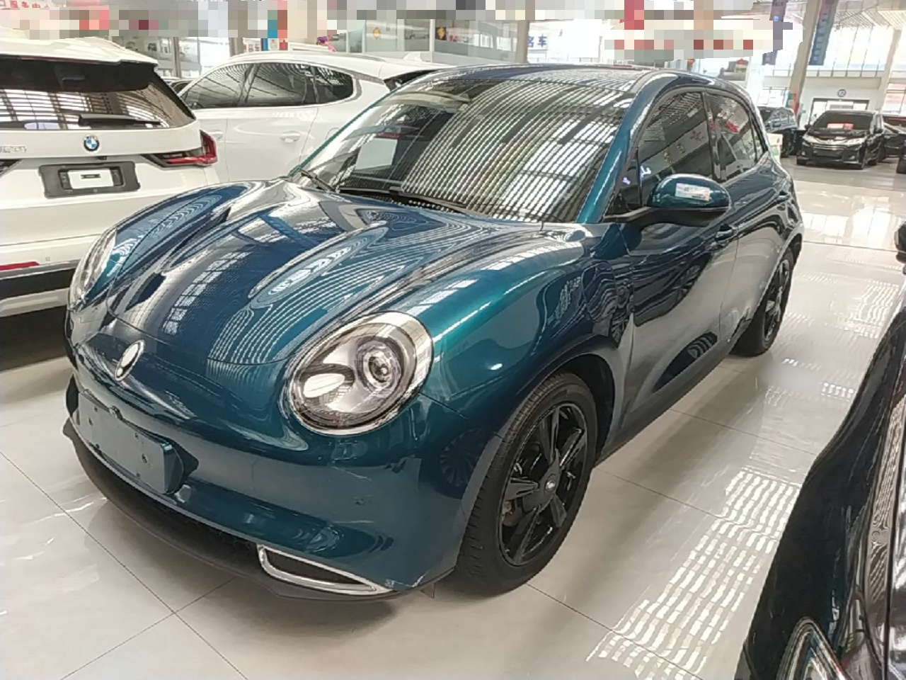 Good Cat 2024 501km Luxury