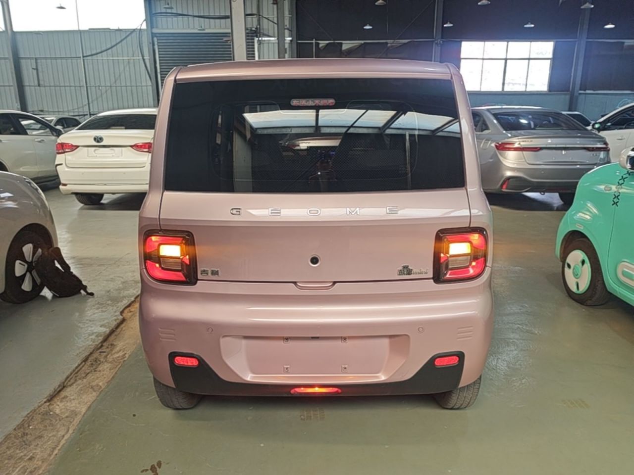 2024 Panda mini 200km Endurance Bear photo 5
