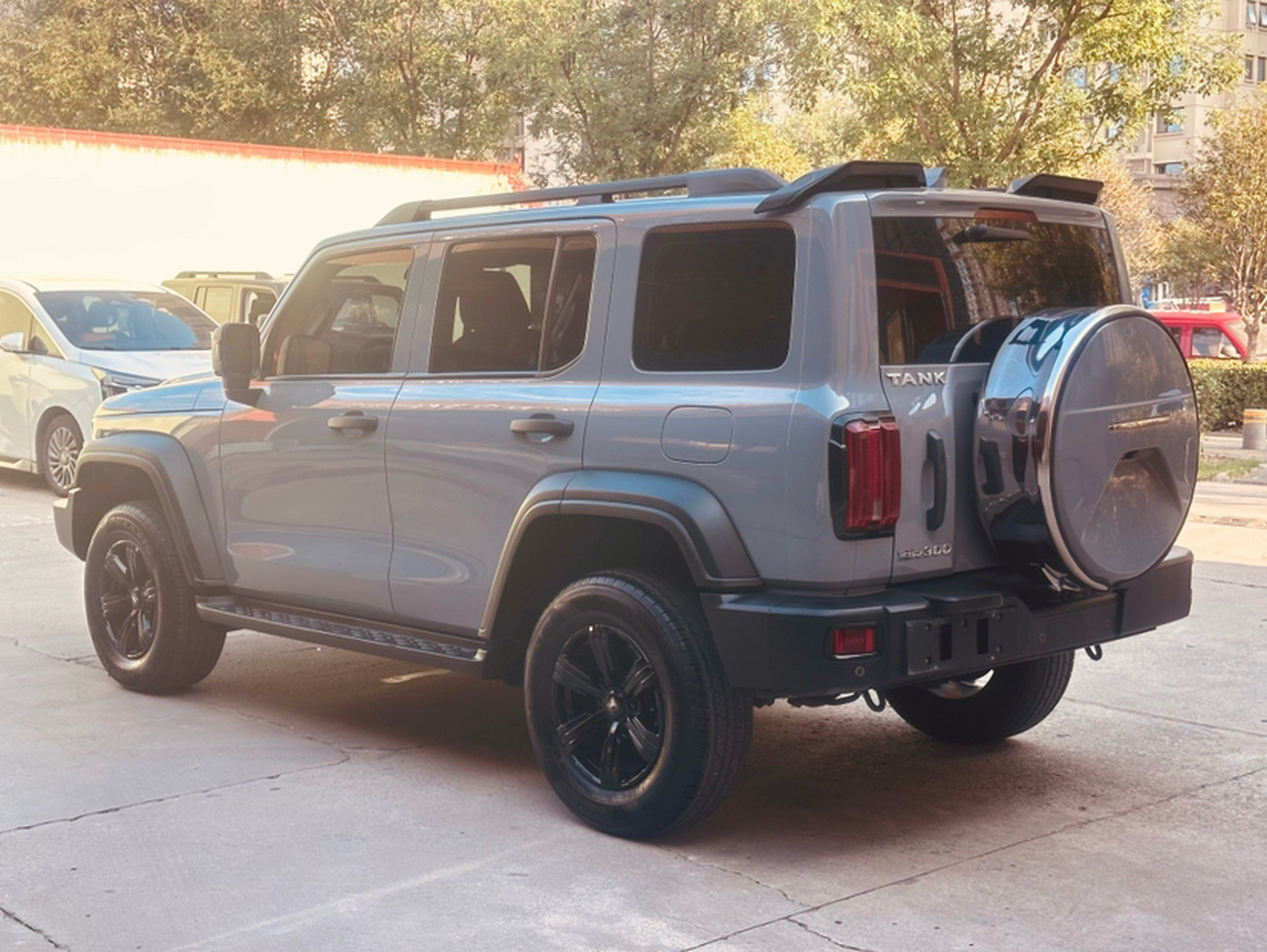 300 2021 Off-road 2.0T photo 5