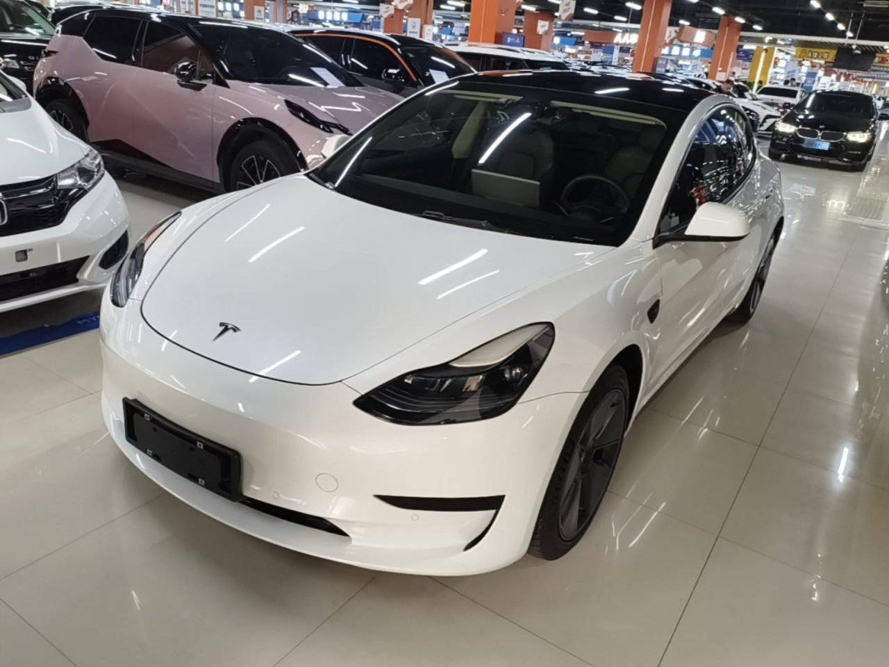 Model 3 2021 Standard Range RWD Upgraded 3D6