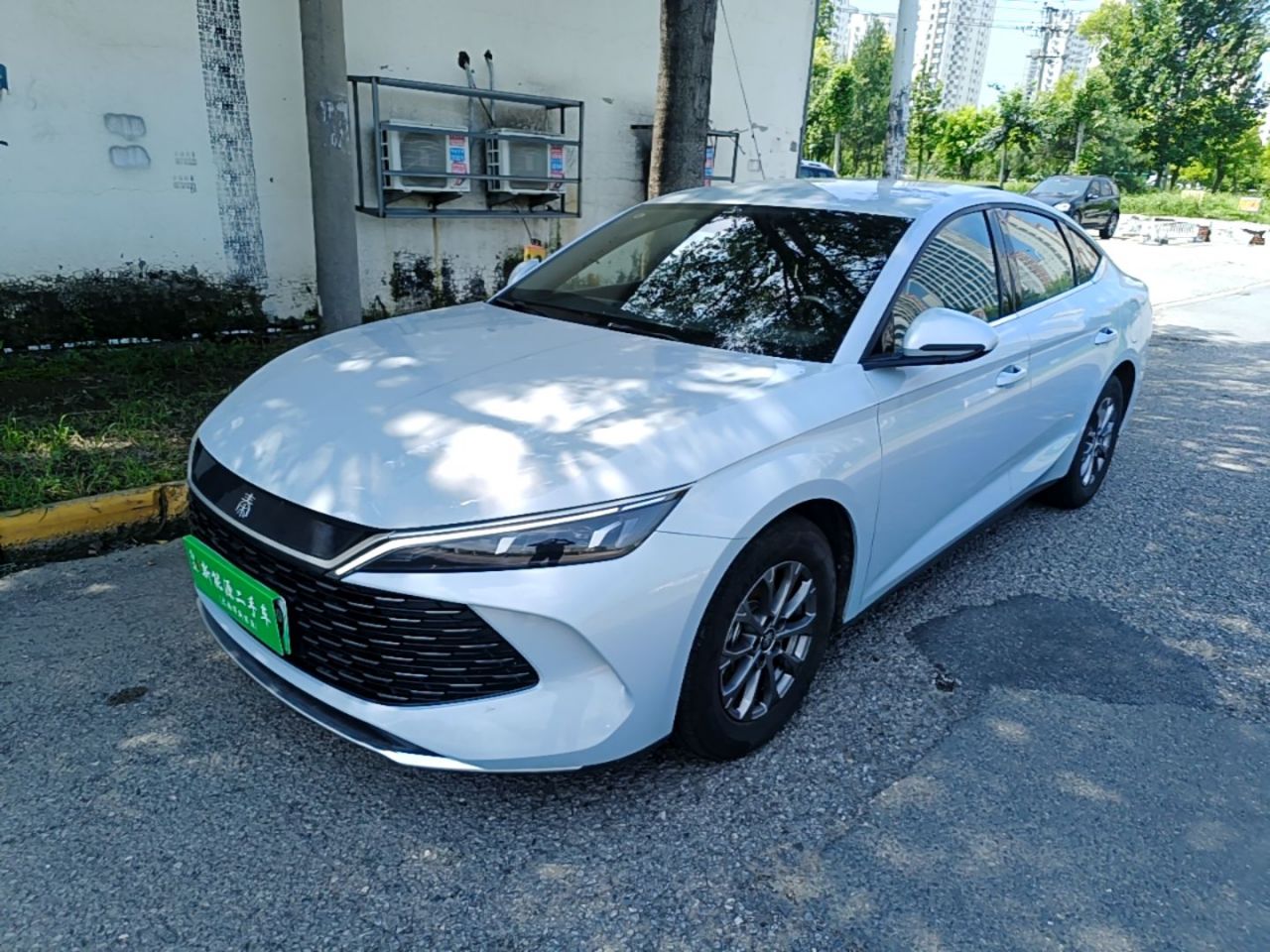 Qin L 2024 DM-i 80KM Leading