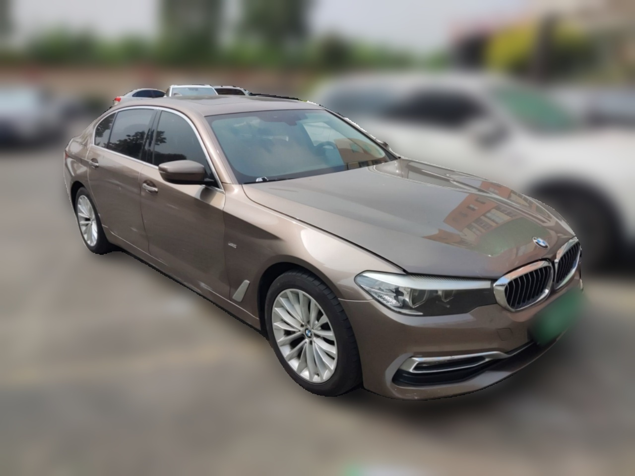 5 Series 2018 530Li Leading Luxury photo 3