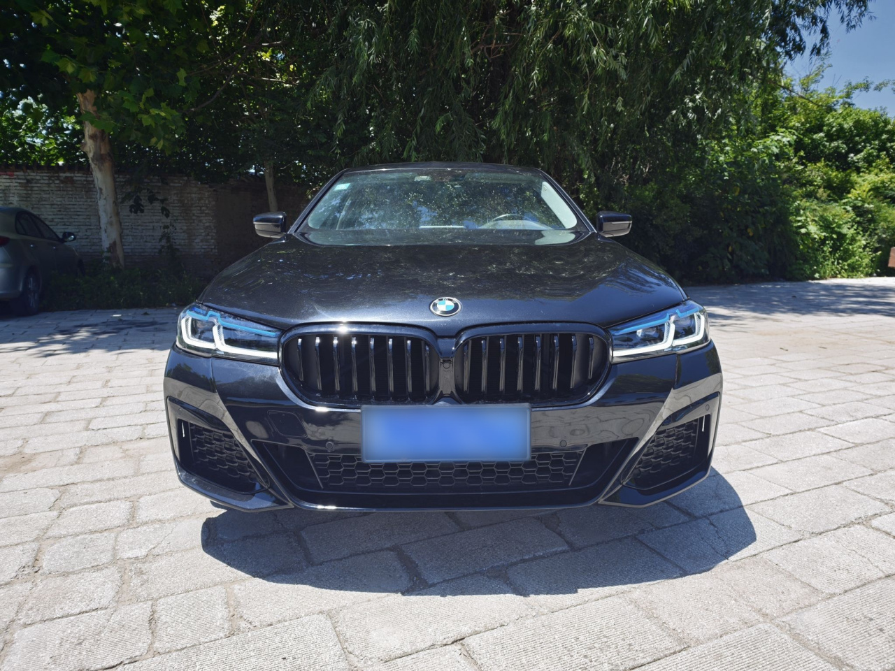 5 Series 2018 528Li Special photo 4
