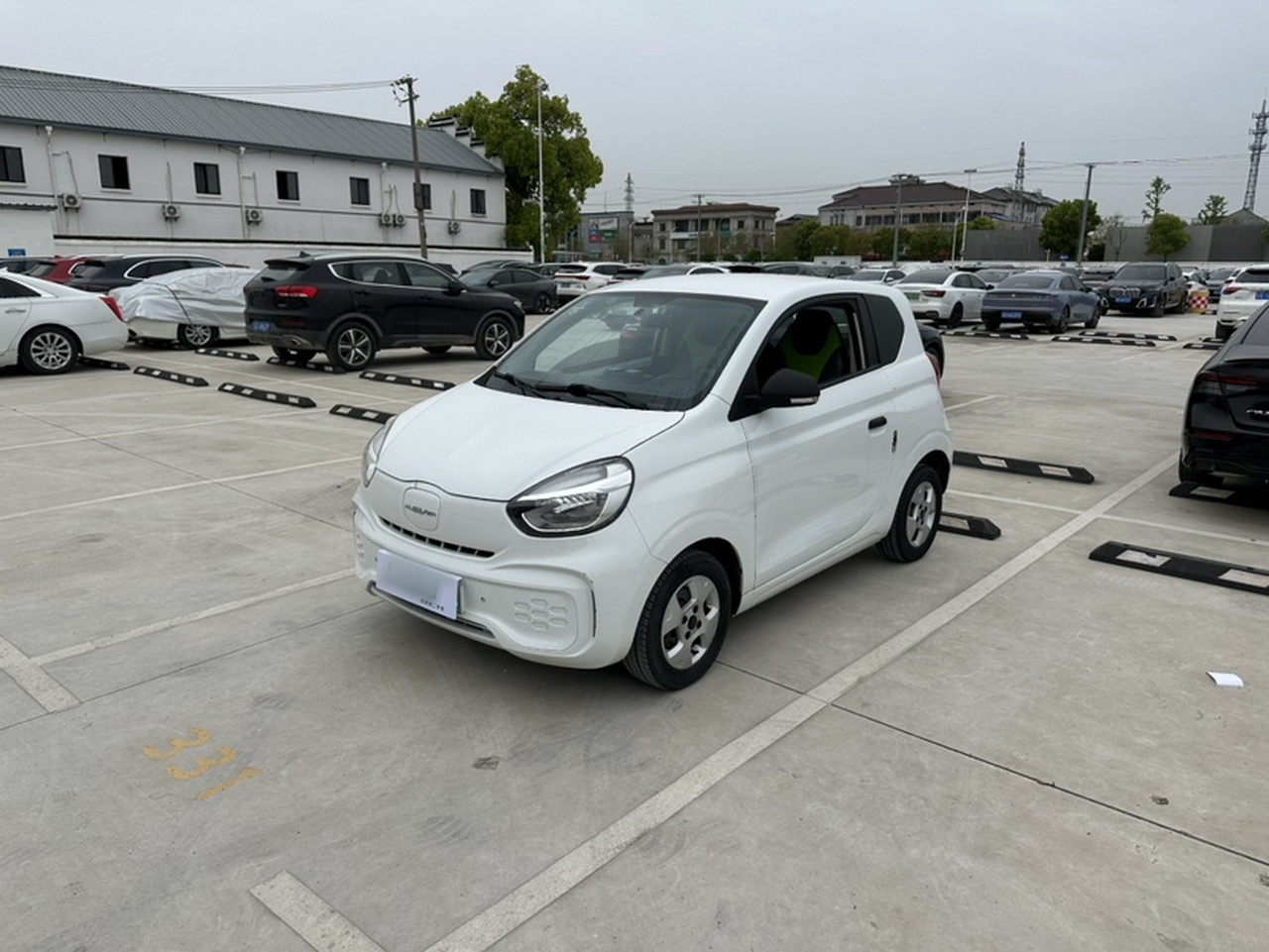 Clever R 2020