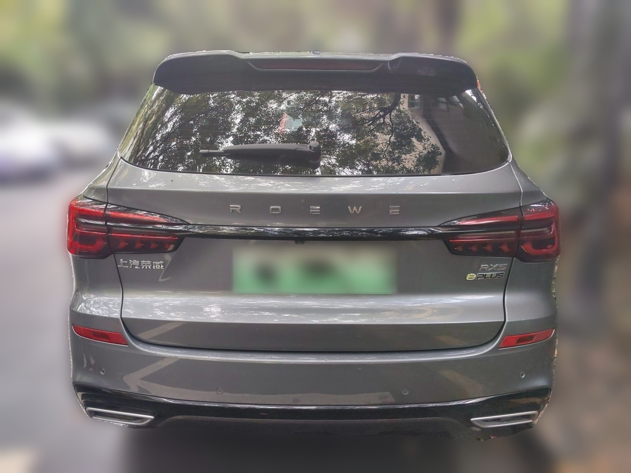 RX5 EV 2020 ePLUS Luxury photo 3