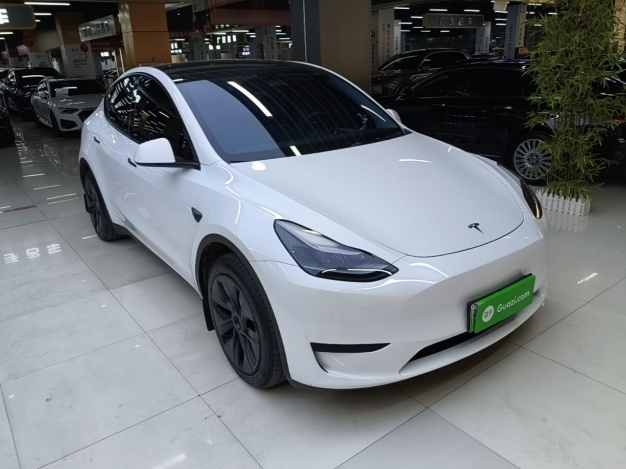 Model Y 2024 RWD photo 3