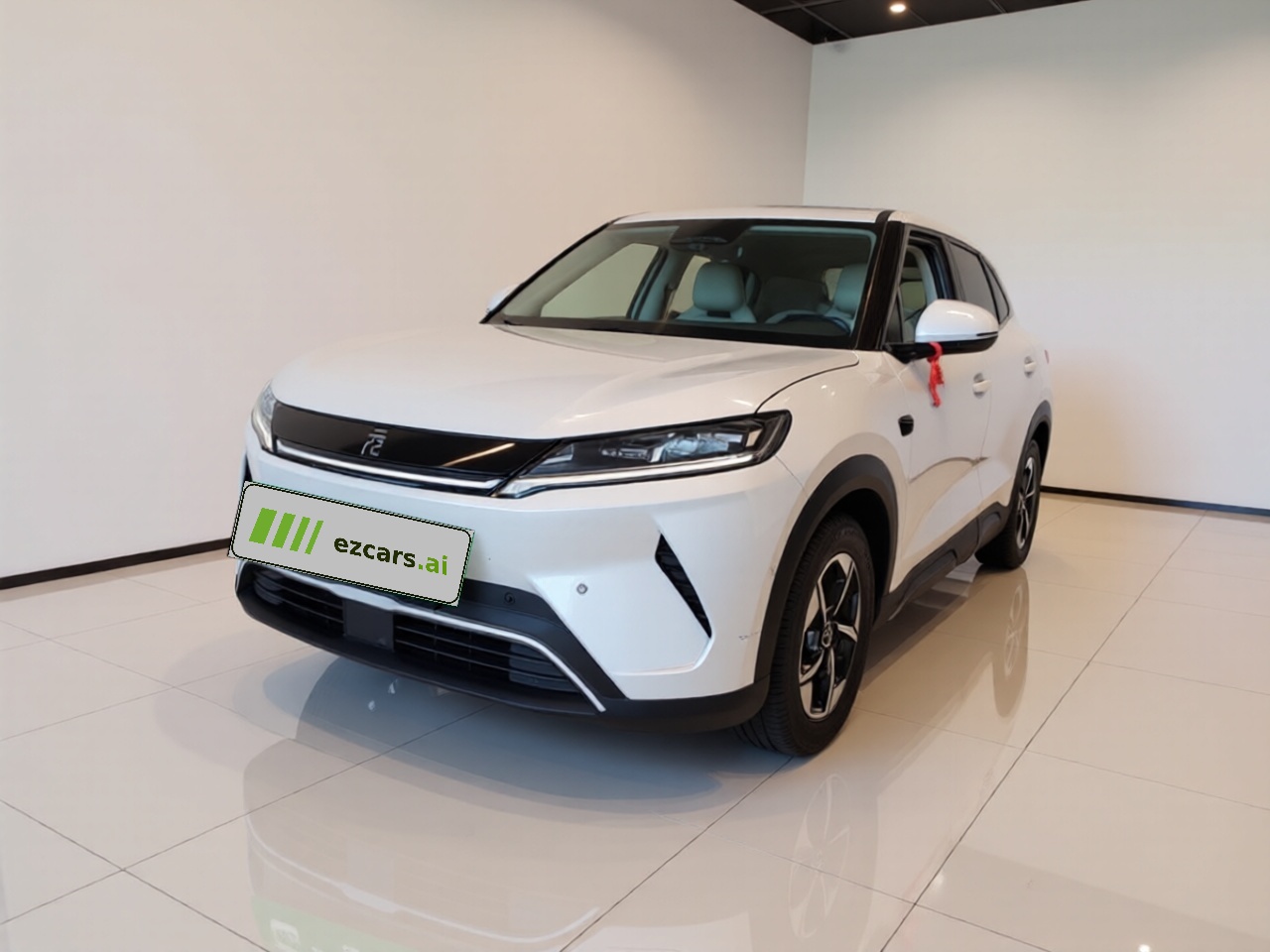 Yuan UP 2025 ADAS 401KM Leading
