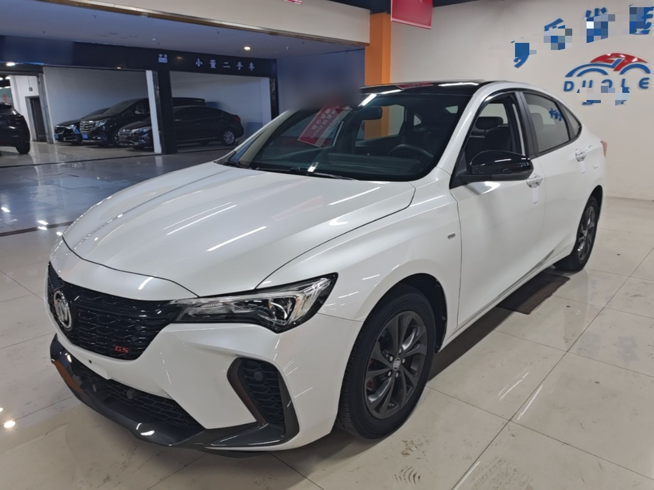 Verano 2023 Pro GS