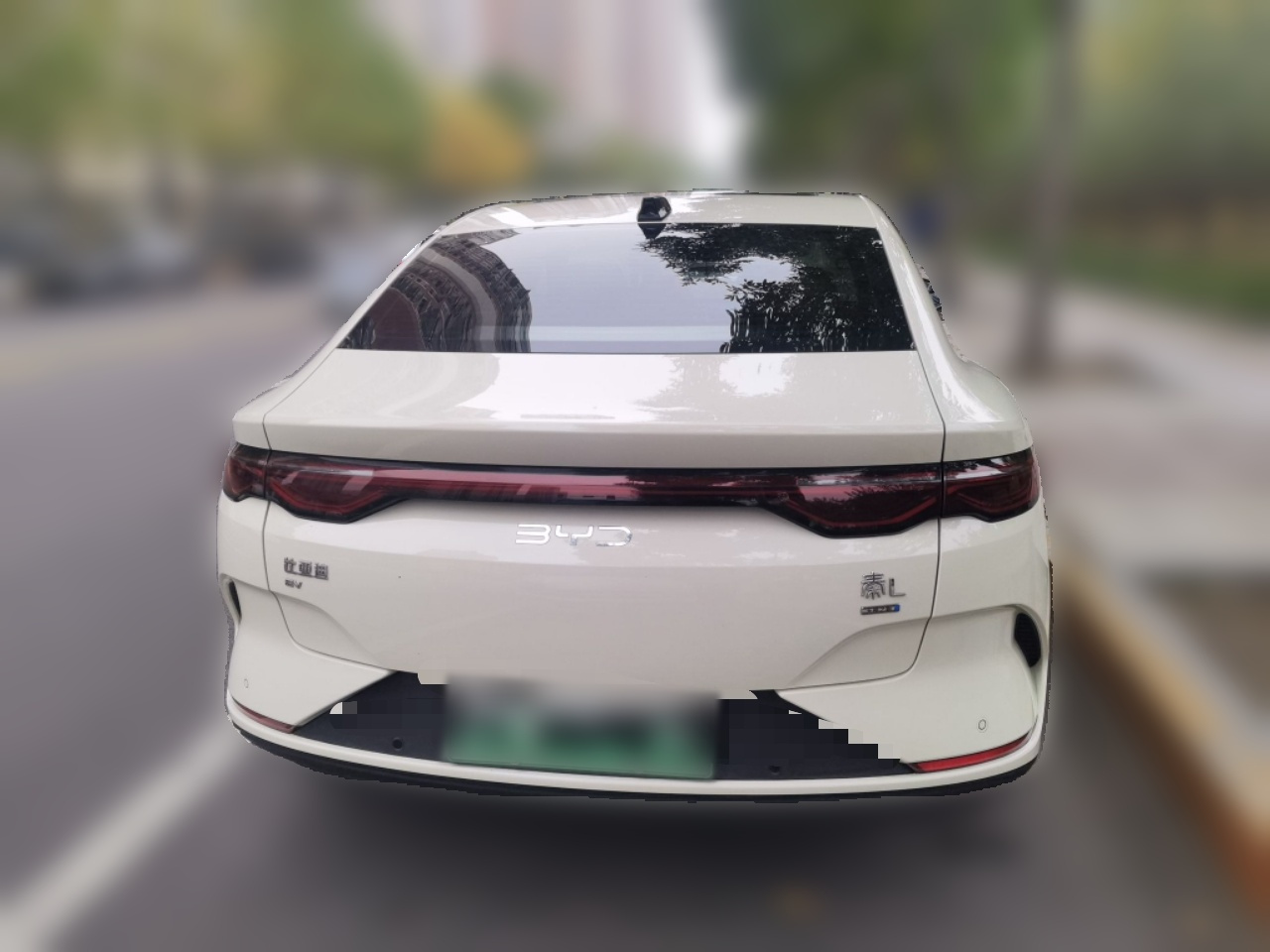 Qin L 2025 EV 545KM Excellence photo 5