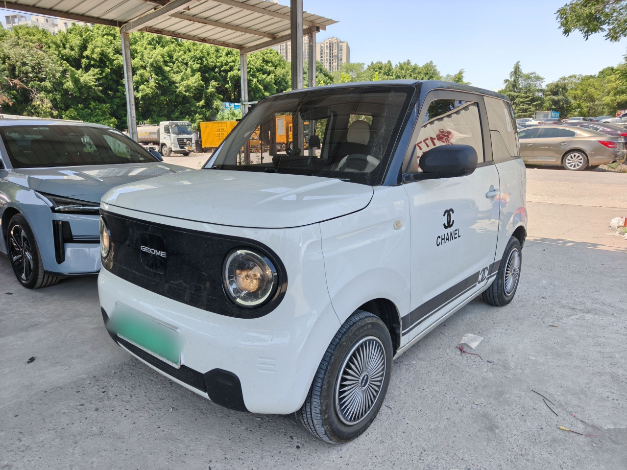 2024 Panda mini 200km Endurance Bear