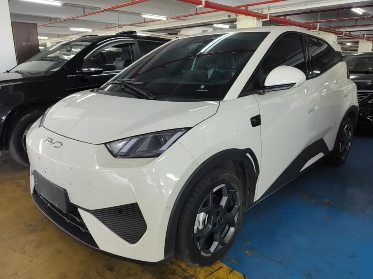 Seagull 2025 ADAS 305km