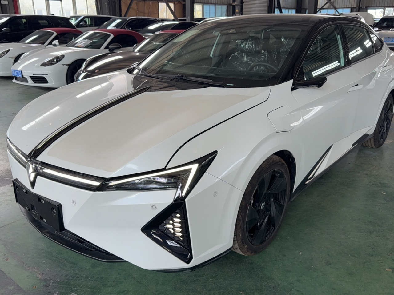 L 2025 +